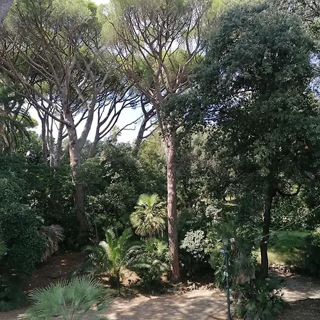 Figoli 3*