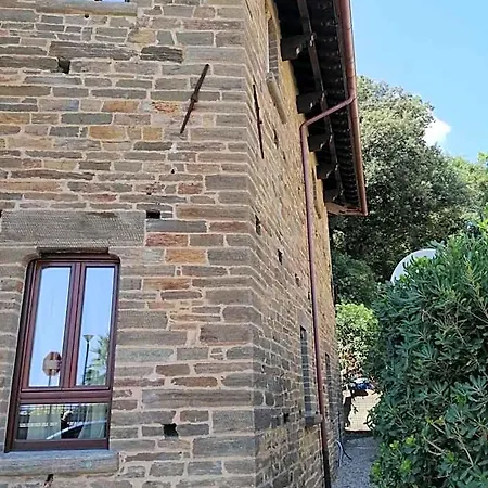 Figoli